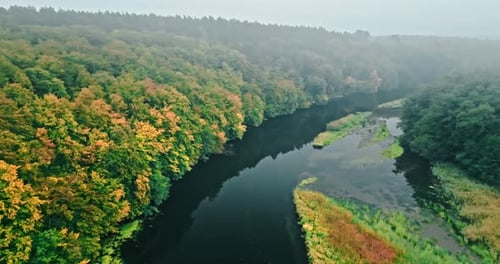 Autumn forest and dark river. Aerial view of wildlife.