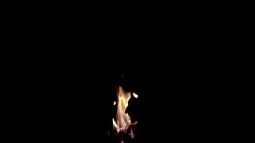 Zeitlupe der Flammen aus Brennholz