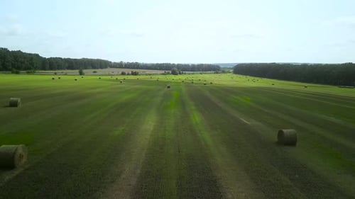 Round Hay Bales on the Green Field