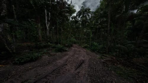 Dense Tropical Forest Trail Winding Through Lush Greenery Under Cloudy Skies