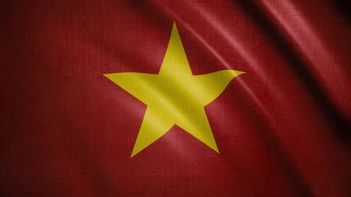 Realistic Vietnam Flag Waving Seamless Loop