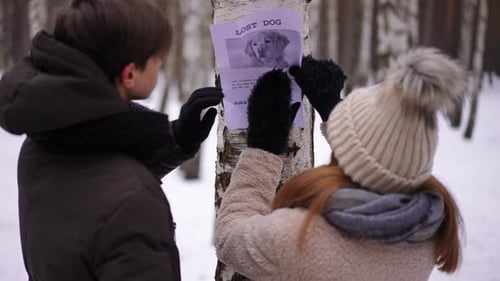 Birch Tree in Winter Park with Teenage Couple Entering Hanging Lost Dog Announcement