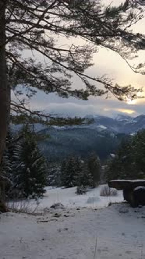 Winter Mountain Landscape with Wooden Seating and Views of the Forest Scenery