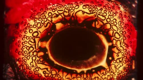 Abstract Microscopic Zoom Reveals Granular Texture