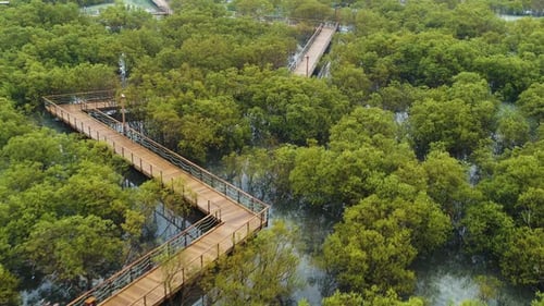 Aerial view of Jubail Mangrove Park, Abu Dhabi, United Arab Emirates.