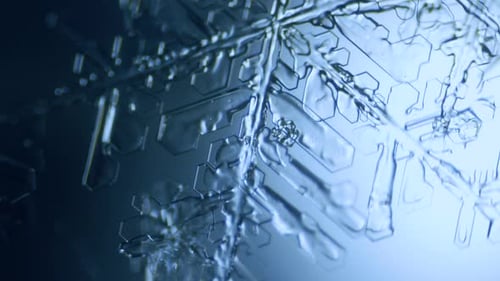 Dendrite stellaire en cristal de glace en forme de flocon de neige au microscope
