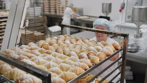 Fresh Golden Croissants on Industrial Bakery Rack Ready for Sale