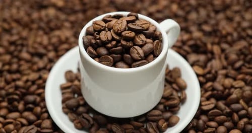 Roasted Coffee Beans Filling Cup on Brown Background