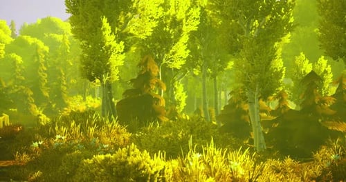 Vibrant Sunlight Filters Through Lush Green Trees in a Serene Forest Setting