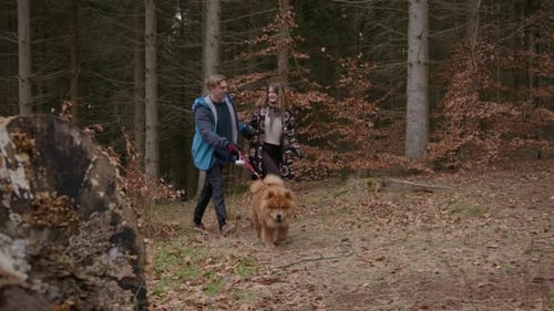 A Happy Couple Walking Their Dog
