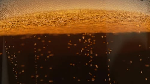 Bolhas em um copo de cerveja em câmera lenta. Uma caneca de cerveja dourada brilha na luz. As bolhas sobem