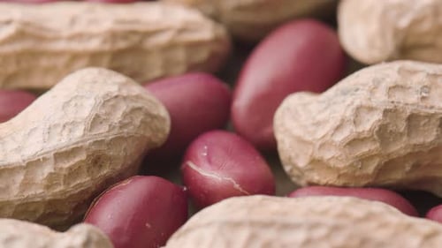 Closeup view of fresh peanuts on wooden table. Macro shot