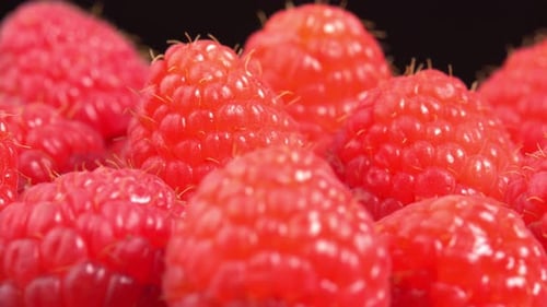 Raspberries spinning close up as restaurant background, juicy raspberries for advertising, fresh