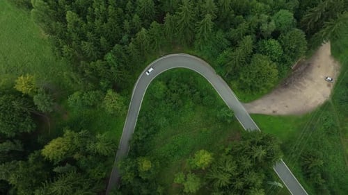 Car driving on a winding road in a dense green forest. Drone view of nature and travel. Aerial view