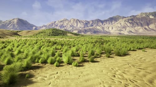 Studying Ground Erosion and Landscape Vulnerability with Aerial Imagery Methods
