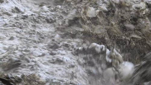 High resolution clip of muddy whirling water taking everything in its path. Natural disaster , flood