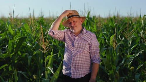 Smiling Elderly Male Farmer Standing on Lush Corn Field Under Blue Sky