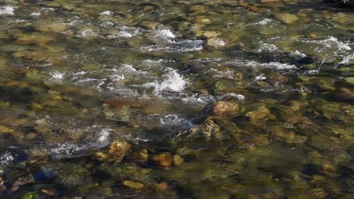 Close Up River Flowing Downstream Over Rocks With Splashes