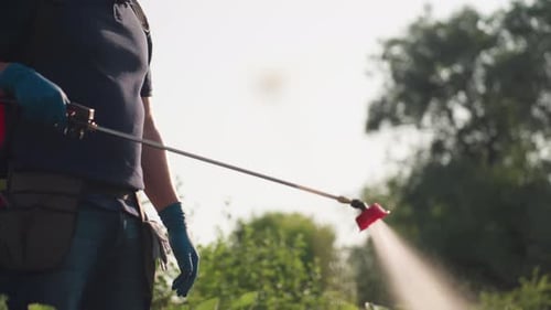 Side View Gardener Spraying Fumigating Plants Looking at Camera