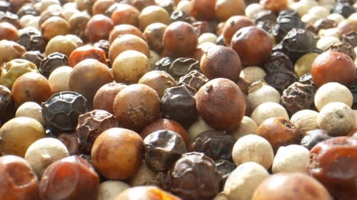 Collection of Whole Colorful Peppercorns in a Close Up