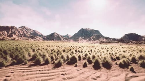 Beautiful Yellow Orange Sand Dune in Desert in Middle Asia
