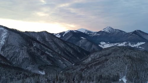 Aerial View of a Winter Evening in the Carpathians a Snowy Foresthigh Mountains on the Horizon