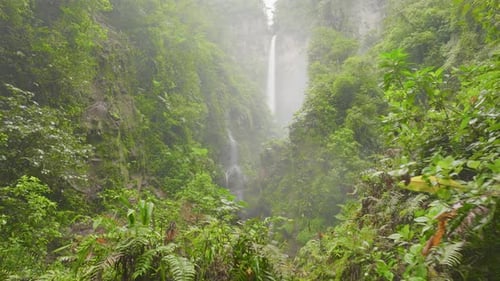 Scenic Rainforest Waterfall in Costa Rica Jungle