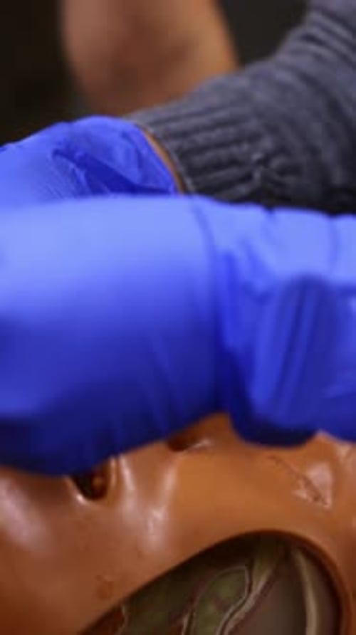 Medical Professional Demonstrates Procedure on Training Model