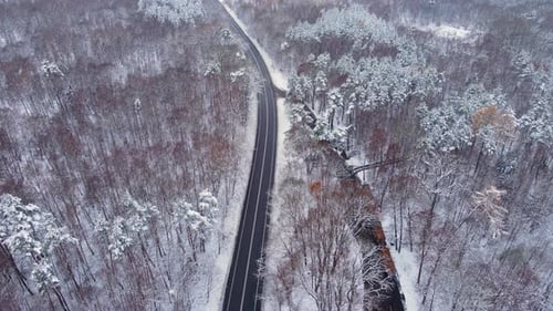 Alone Black Car Driving on Countryside Road on Winter Vacation Getaway Through Snowy Forest
