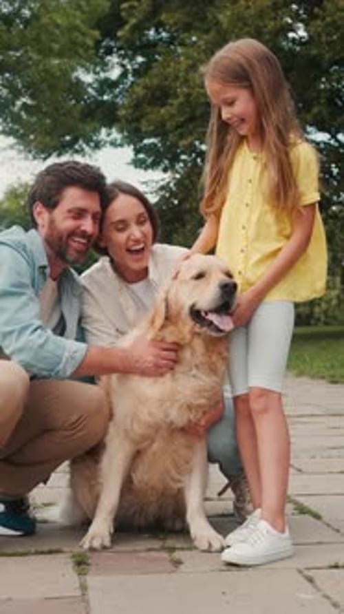 Loving Family Petting Golden Retriever Dog in Park