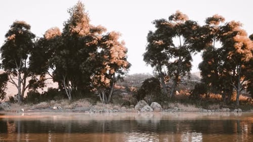 Tranquil Lakeside View Featuring Lush Trees and Serene Waters at Dusk