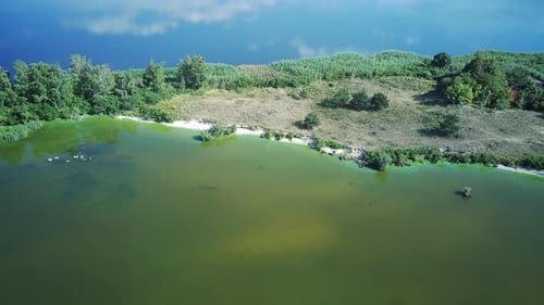 Mysterious Ponds In The Green Thicket On Trakhtemirovsky Pivostrovi.