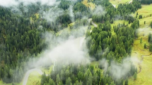 Snake Road Covered with Mist Among Mountain Forestry Slopes