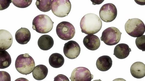 Falling Turnips Against White Background
