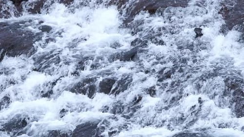 Mountain River Flowing Through Stone Boulders Waterfall in Iceland Close Up Huge Cascade