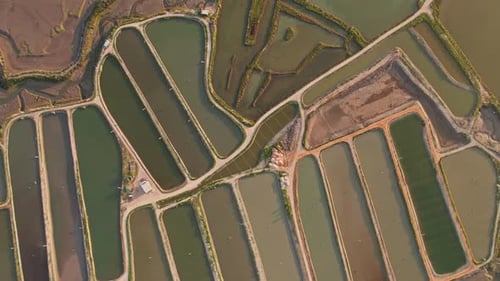 Aerial View of Aquaculture Farm and Fish Basins