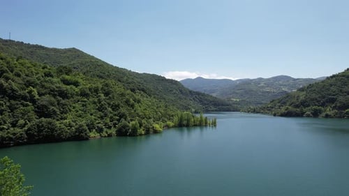 Aerial Green Forest and Lake