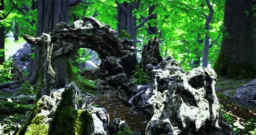 Einzigartige Felsformationen inmitten von leuchtend grünem Laub in einem ruhigen Wald