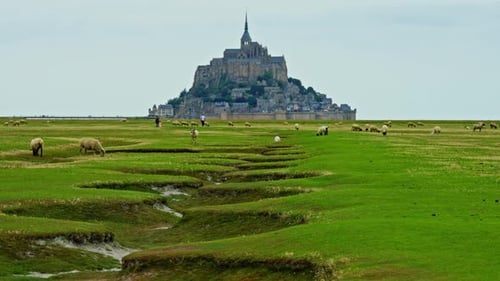 Green Meadows with Sheep Walking on Them Against the Backdrop of the Worldfamous Castleisland of