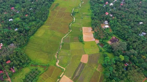 Kerala Tropical Environment In Summer Uhd
