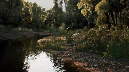 Scenic River Flowing Through Green Nature Landscape