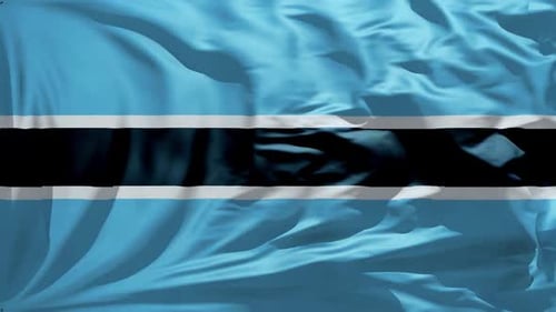 Realistic Waving Flag Loop Animation