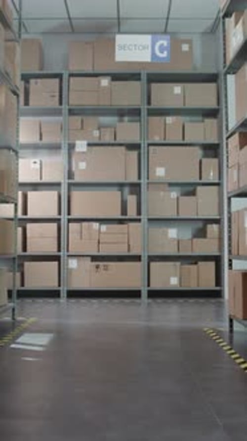 Installation de tri : stockage de la boutique en ligne avec commandes de commerce électronique dans des boîtes en carton