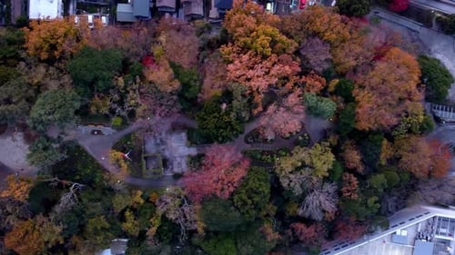 A vibrant autumn park at dusk, colorful foliage dominating the scene, aerial view