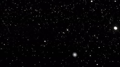 Snowfall overlay on black background. Infinitely looped animation