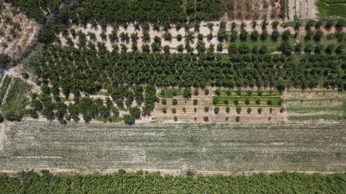 Jardin de ferme aérien