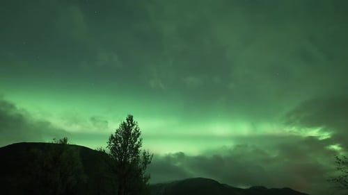 Emerald green lights and flashes of Aurora borealis dominate the night sky. A Timelapse video.