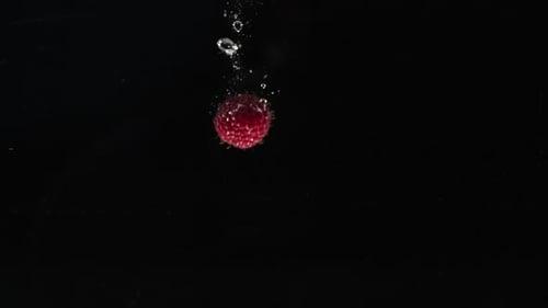 Clean eating. Red raspberry falling into water on black background. Fruits splashing in aquarium