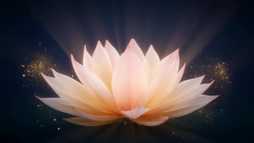 Vesak Lotus Glow