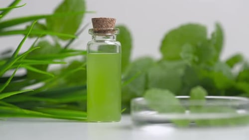 Herbal Medicine Bottle with Mint Leaves